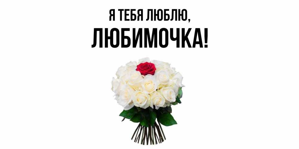 Открытка  для любимых и родных. любимочка, Я тебя люблю  