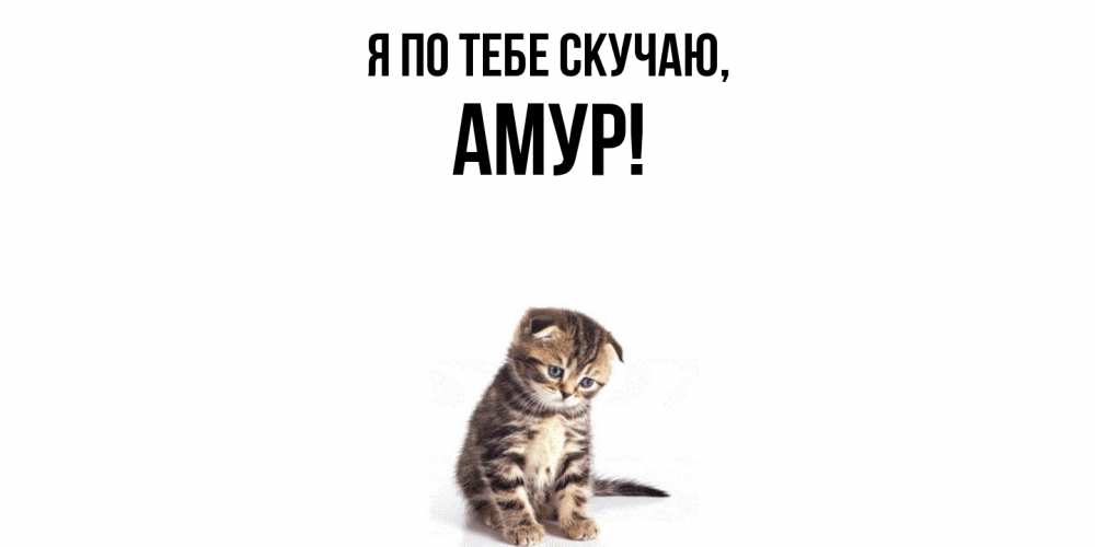 Открытка  для любимых и родных. амур, Я по тебе скучаю  