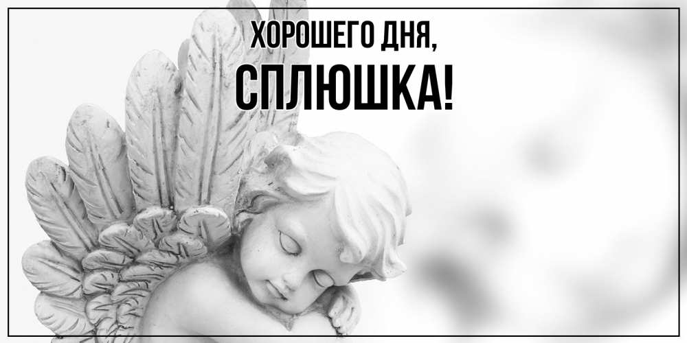 Открытка  для любимых и родных. сплюшка, Хорошего дня  