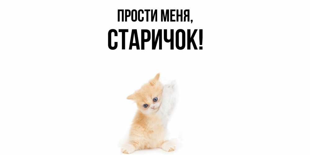 Открытка  для любимых и родных. старичок, Прости меня  