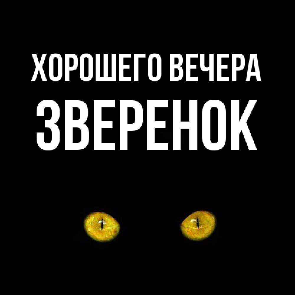 Картинка Хорошего вечера, звеpенок