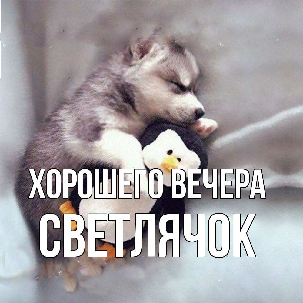 Открытка  для любимых и родных. светлячок, Хорошего вечера  