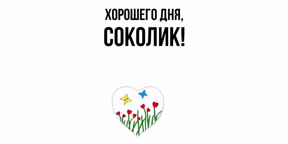 Открытка  для любимых и родных. соколик, Хорошего дня  