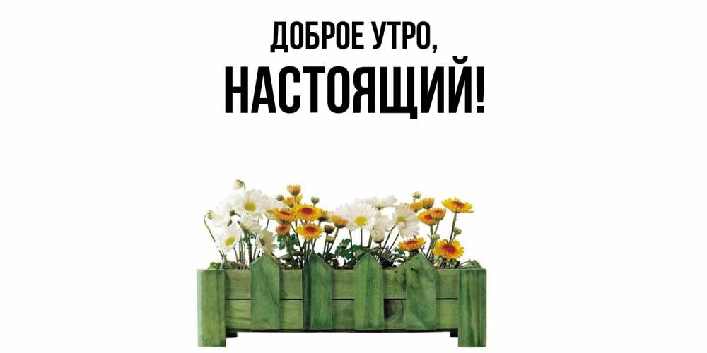 Картинка Доброе утро, настоящий