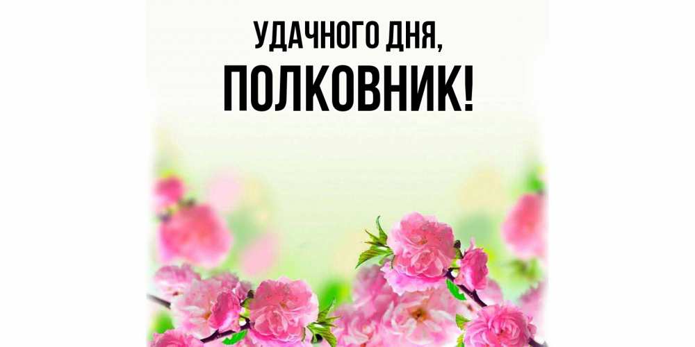 Открытка с именем, полковник, Удачного дня
