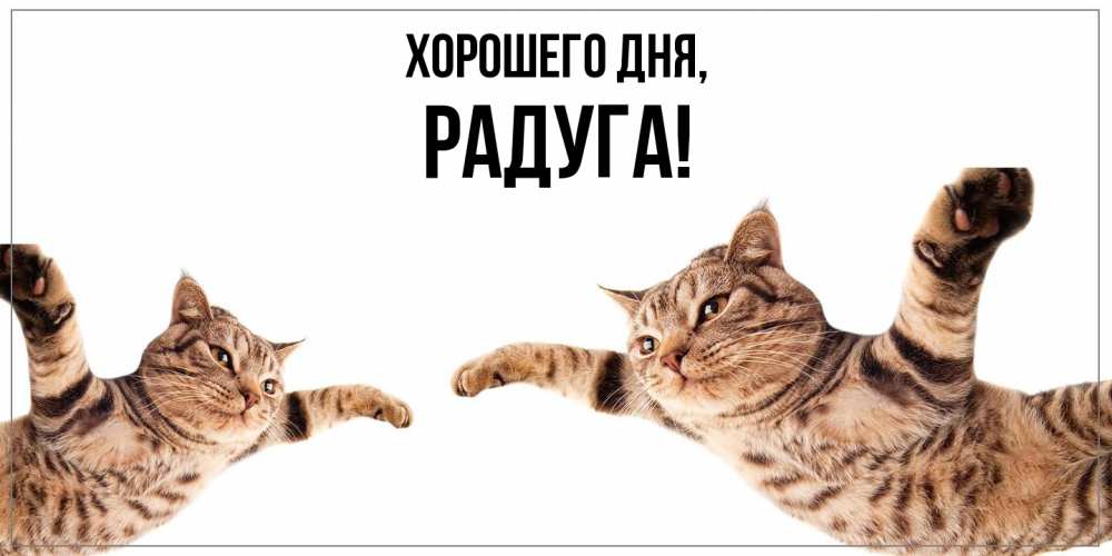 Открытка с именем, радуга, Хорошего дня