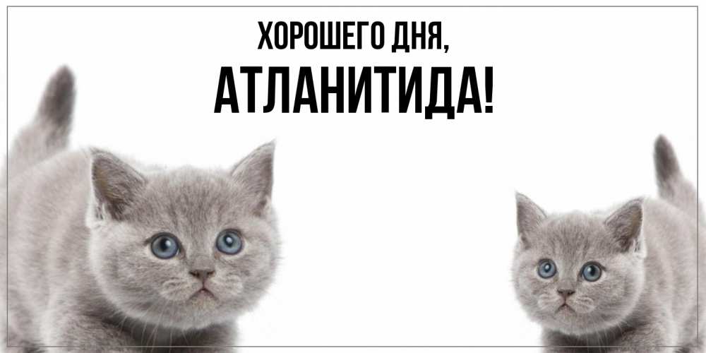 Открытка  для любимых и родных. атланитида, Хорошего дня  