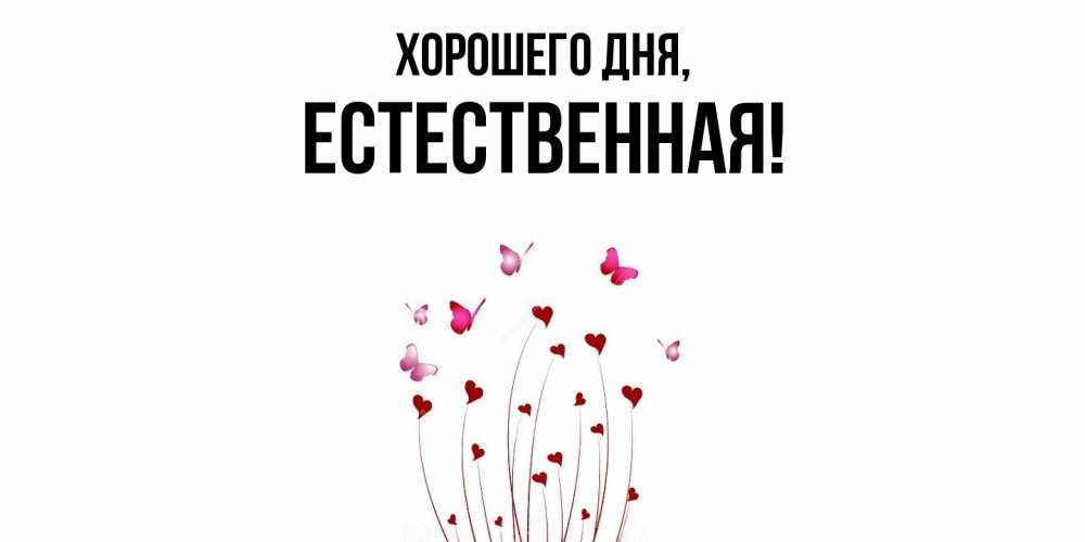 Открытка  для любимых и родных. естественная, Хорошего дня  