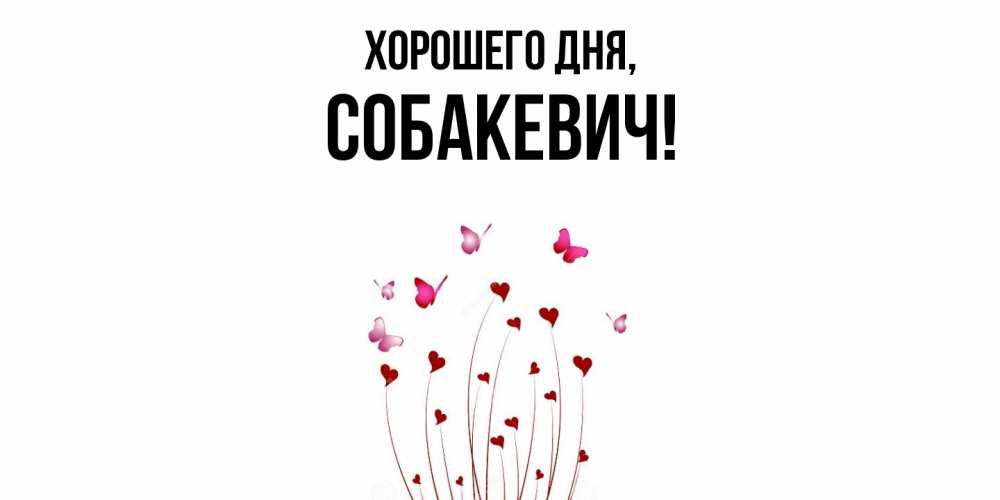Открытка  для любимых и родных. собакевич, Хорошего дня  