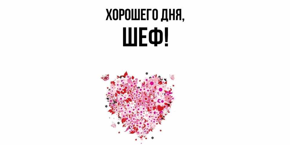 Открытка  для любимых и родных. Шеф, Хорошего дня  