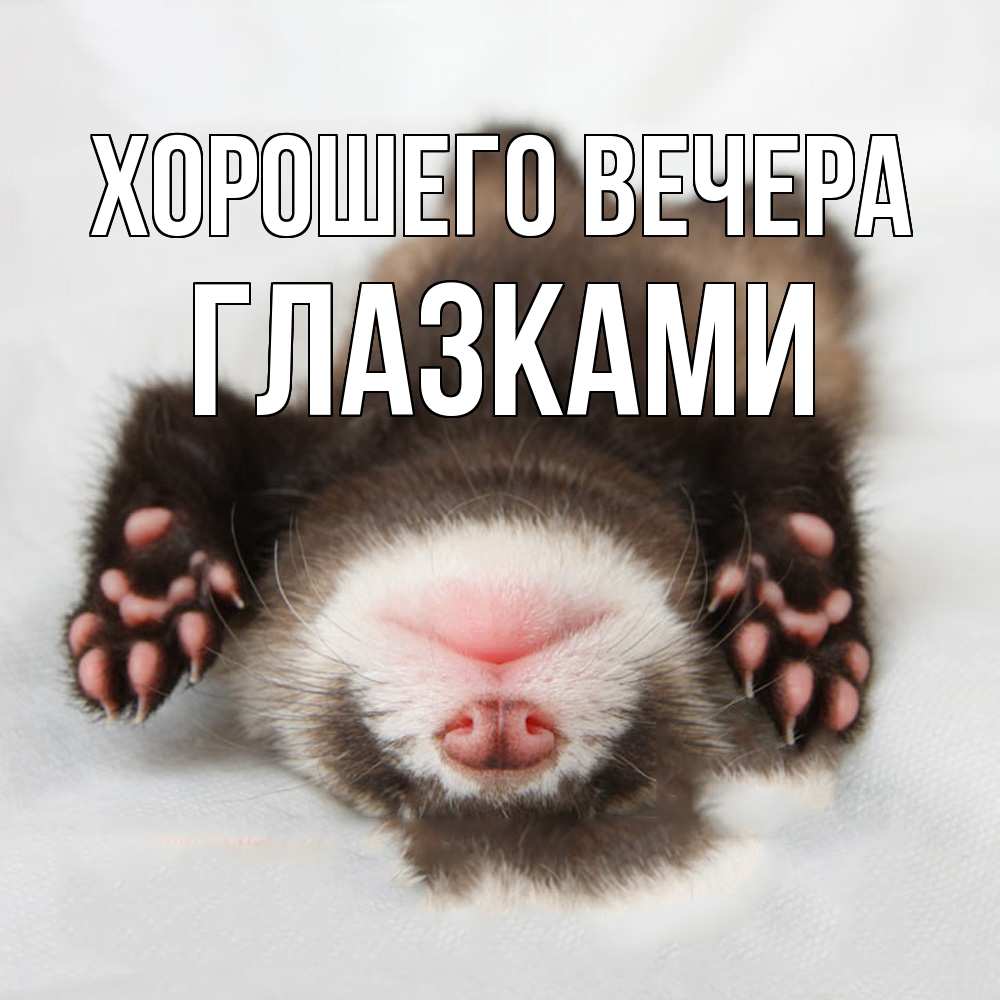 Открытка  для любимых и родных. глазками, Хорошего вечера  