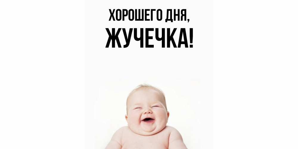Открытка  для любимых и родных. жучечка, Хорошего дня  