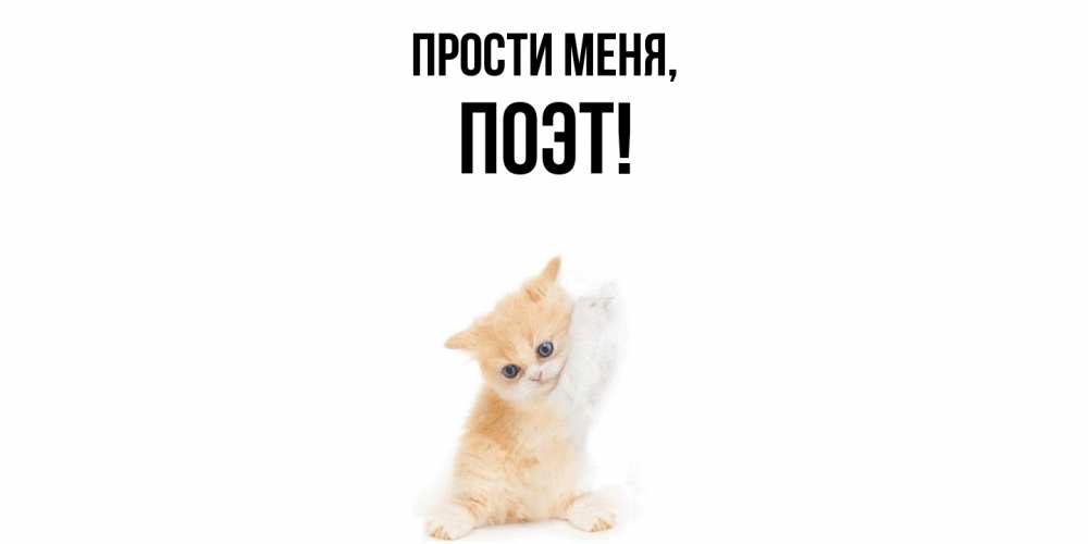Картинка Прости меня, поэт