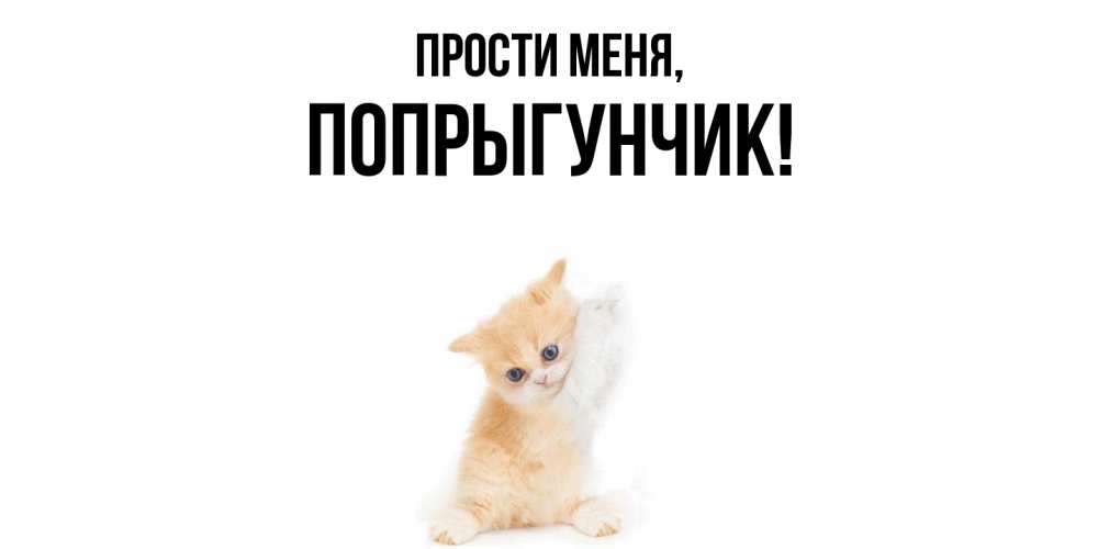 Открытка  для любимых и родных. попрыгунчик, Прости меня  