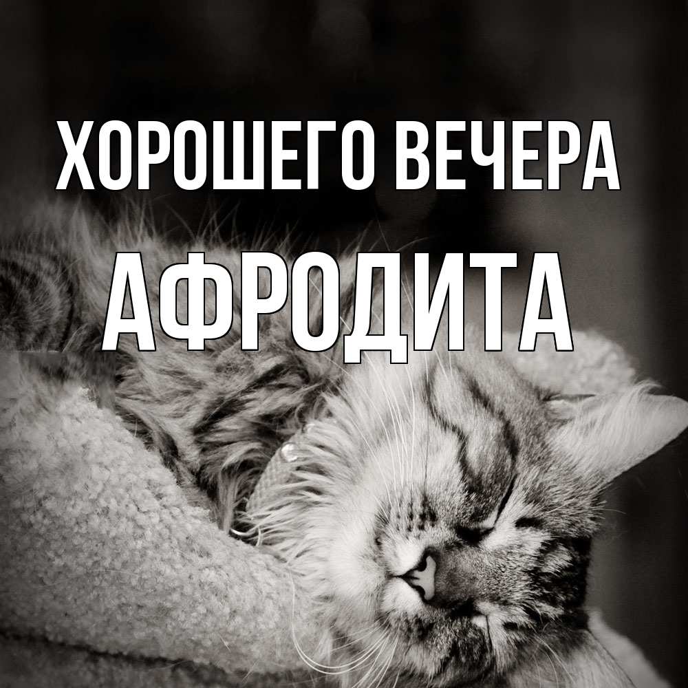 Картинка Хорошего вечера, афродита