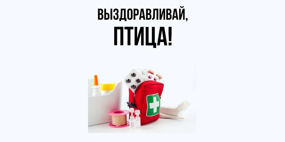Открытка  для любимых и родных. птица, Выздоравливай  