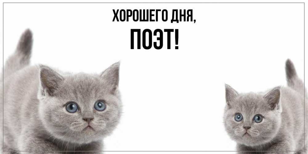 Открытка  для любимых и родных. поэт, Хорошего дня  