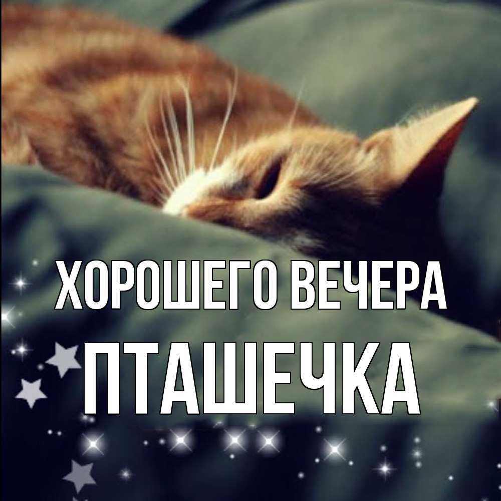 Картинка Хорошего вечера, пташечка