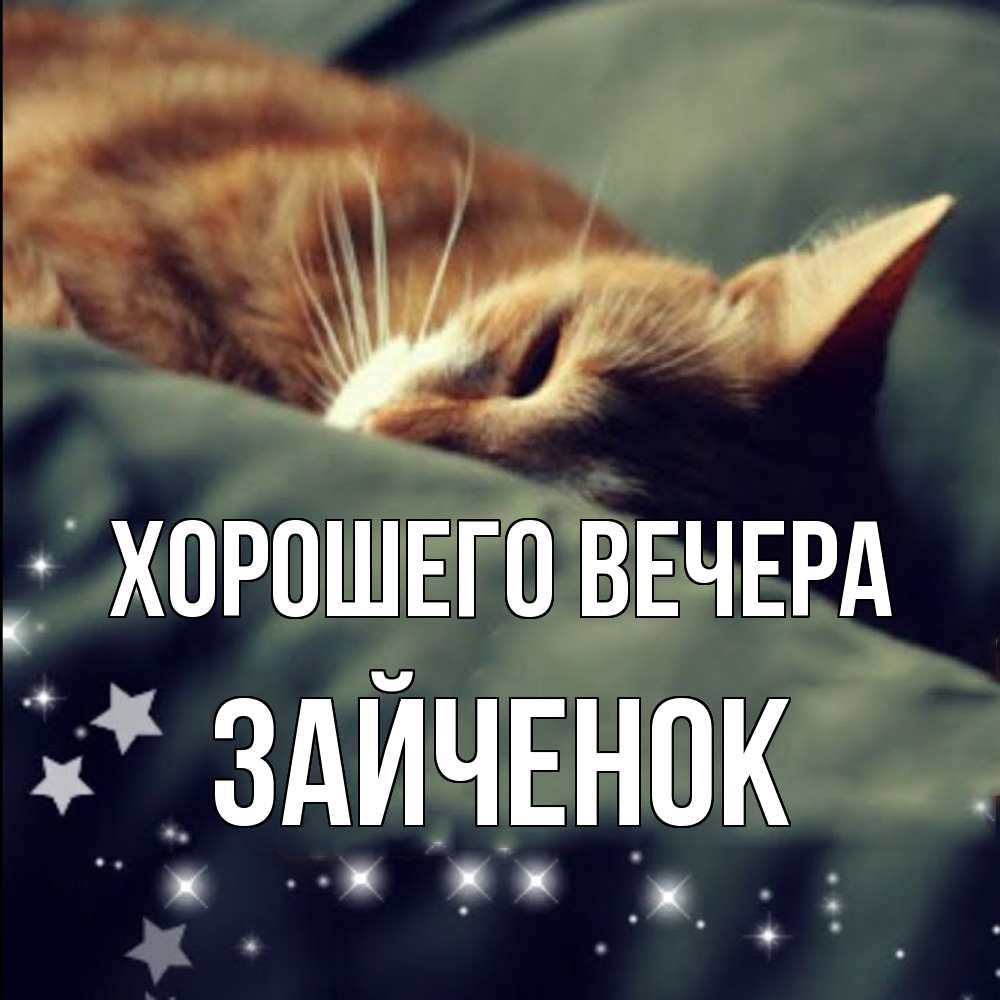Открытка  для любимых и родных. Зайченок, Хорошего вечера  