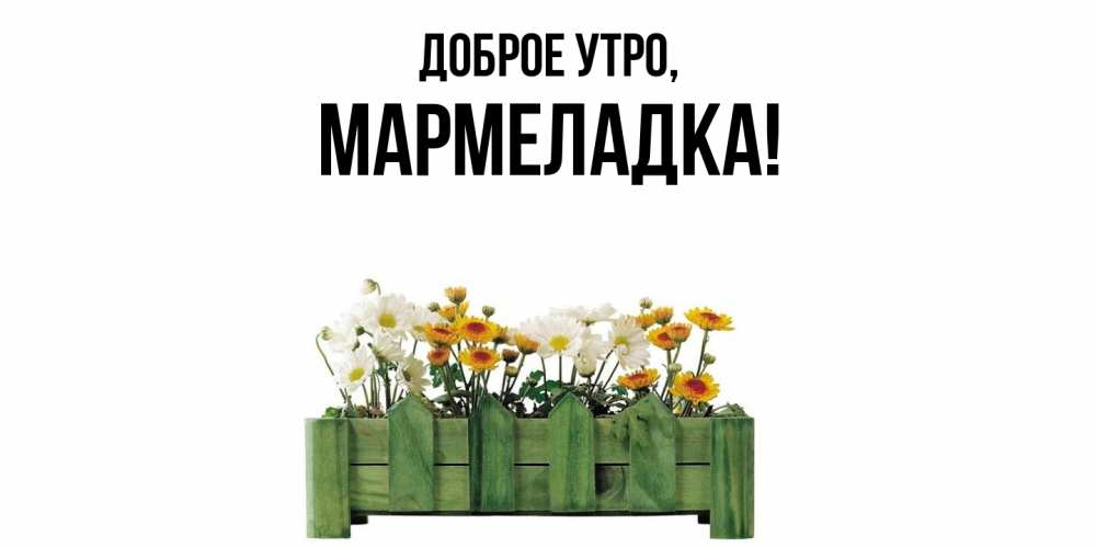 Открытка  для любимых и родных. мармеладка, Доброе утро  