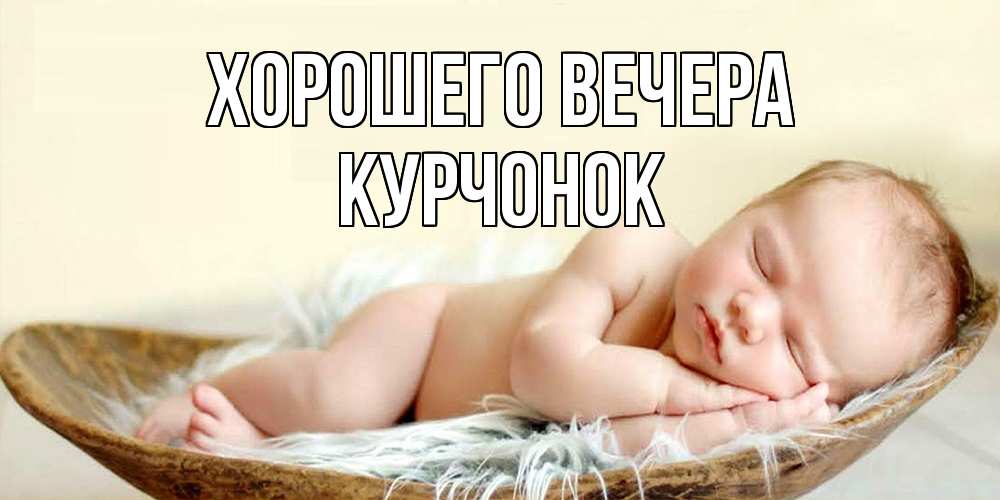 Открытка  для любимых и родных. курчонок, Хорошего вечера  