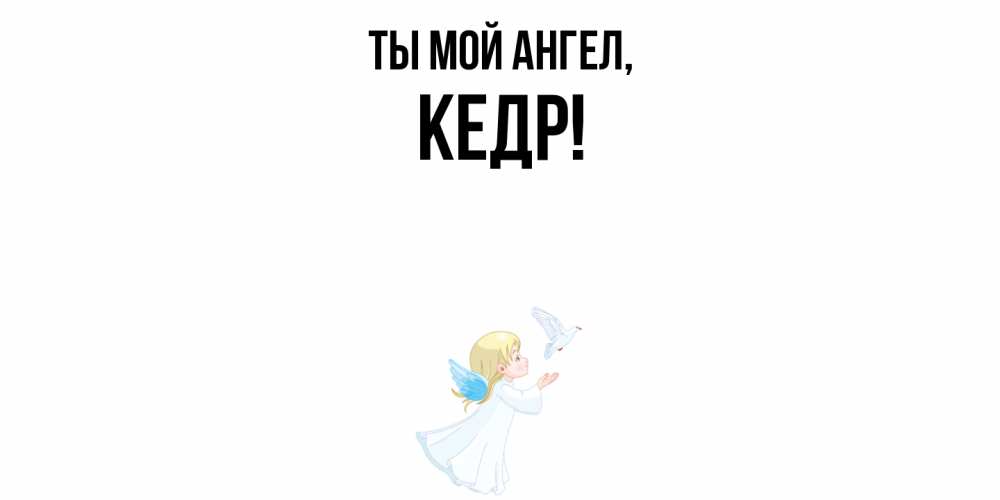 Открытка  для любимых и родных. кедр, Ты мой ангел  