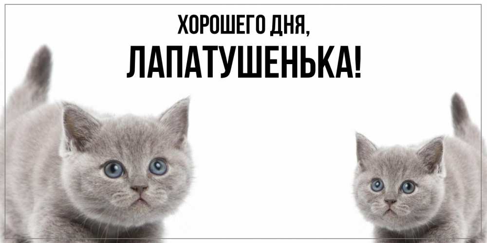 Открытка  для любимых и родных. лапатушенька, Хорошего дня  