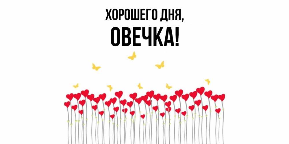 Картинка Хорошего дня, овечка