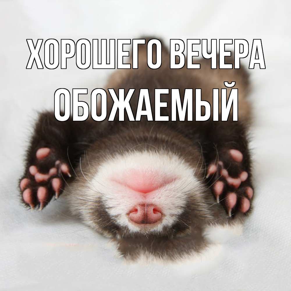 Открытка  для любимых и родных. обожаемый, Хорошего вечера  