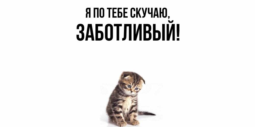 Открытка  для любимых и родных. заботливый, Я по тебе скучаю  