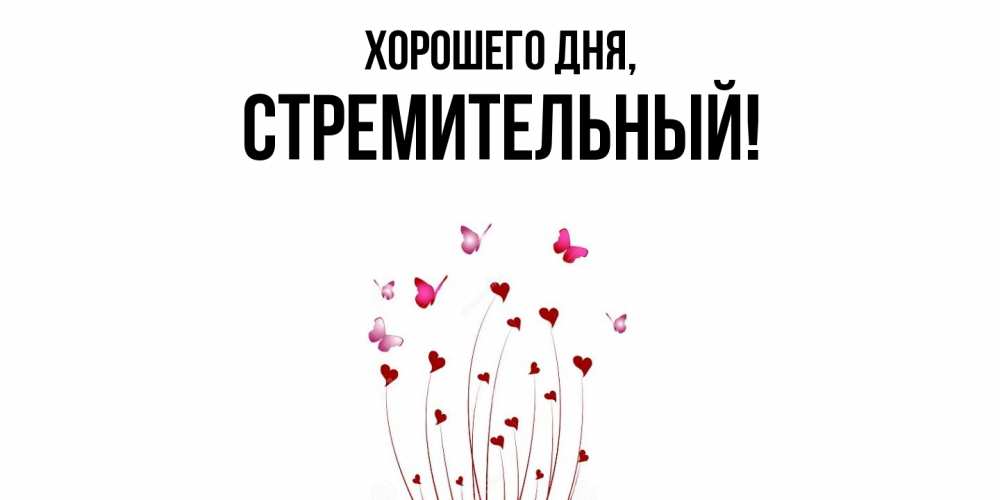 Открытка  для любимых и родных. стремительный, Хорошего дня  