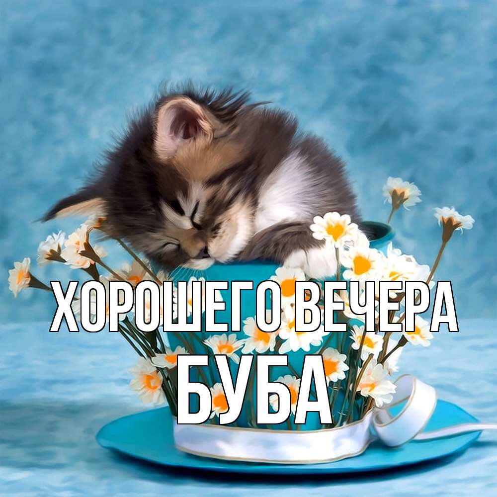Картинка Хорошего вечера, буба