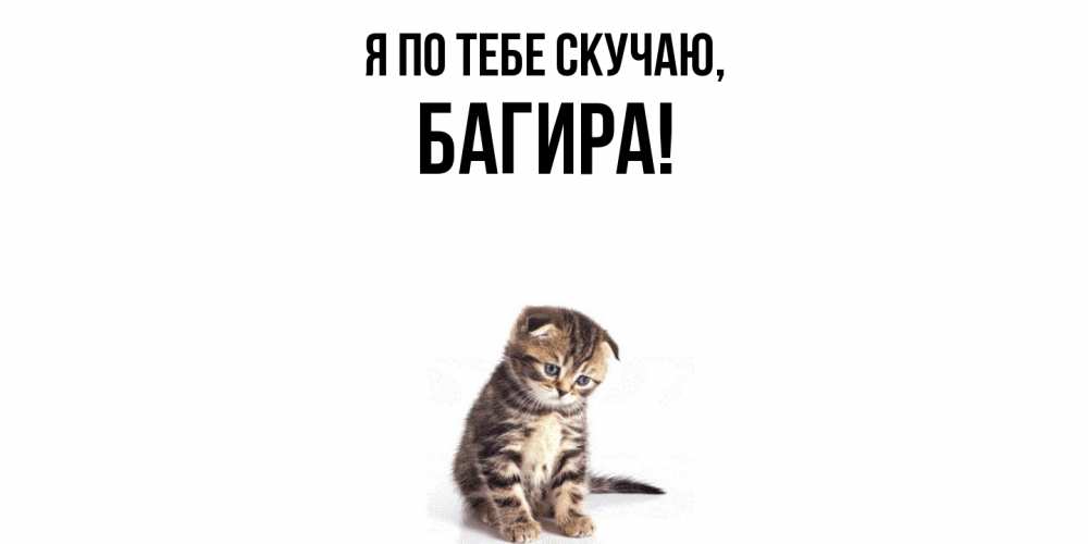 Открытка с именем, багира, Я по тебе скучаю