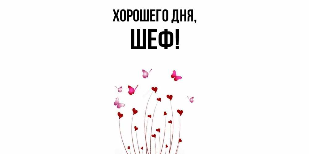 Открытка  для любимых и родных. Шеф, Хорошего дня  