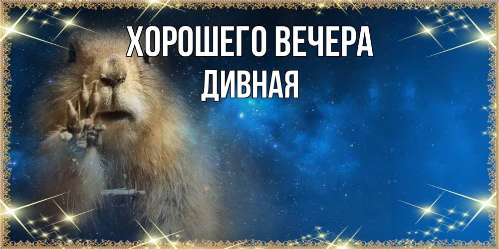 Открытка  для любимых и родных. дивная, Хорошего вечера  
