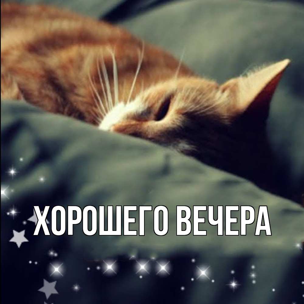 Картинка Хорошего вечера, 