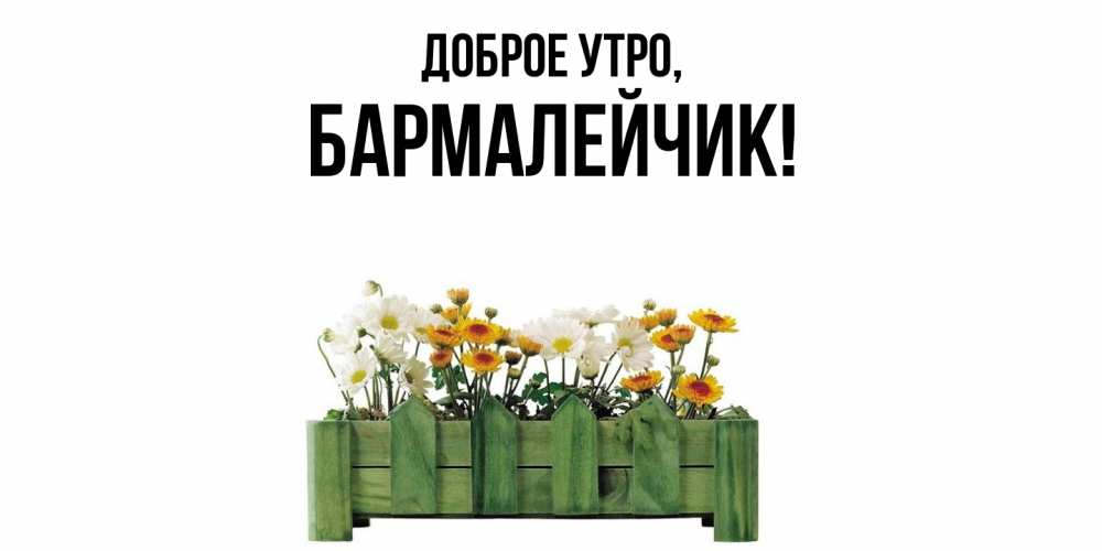 Открытка  для любимых и родных. бармалейчик, Доброе утро  