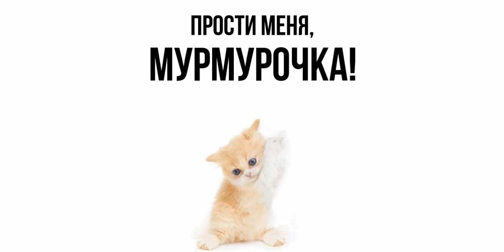 Картинка Прости меня, Мурмурочка