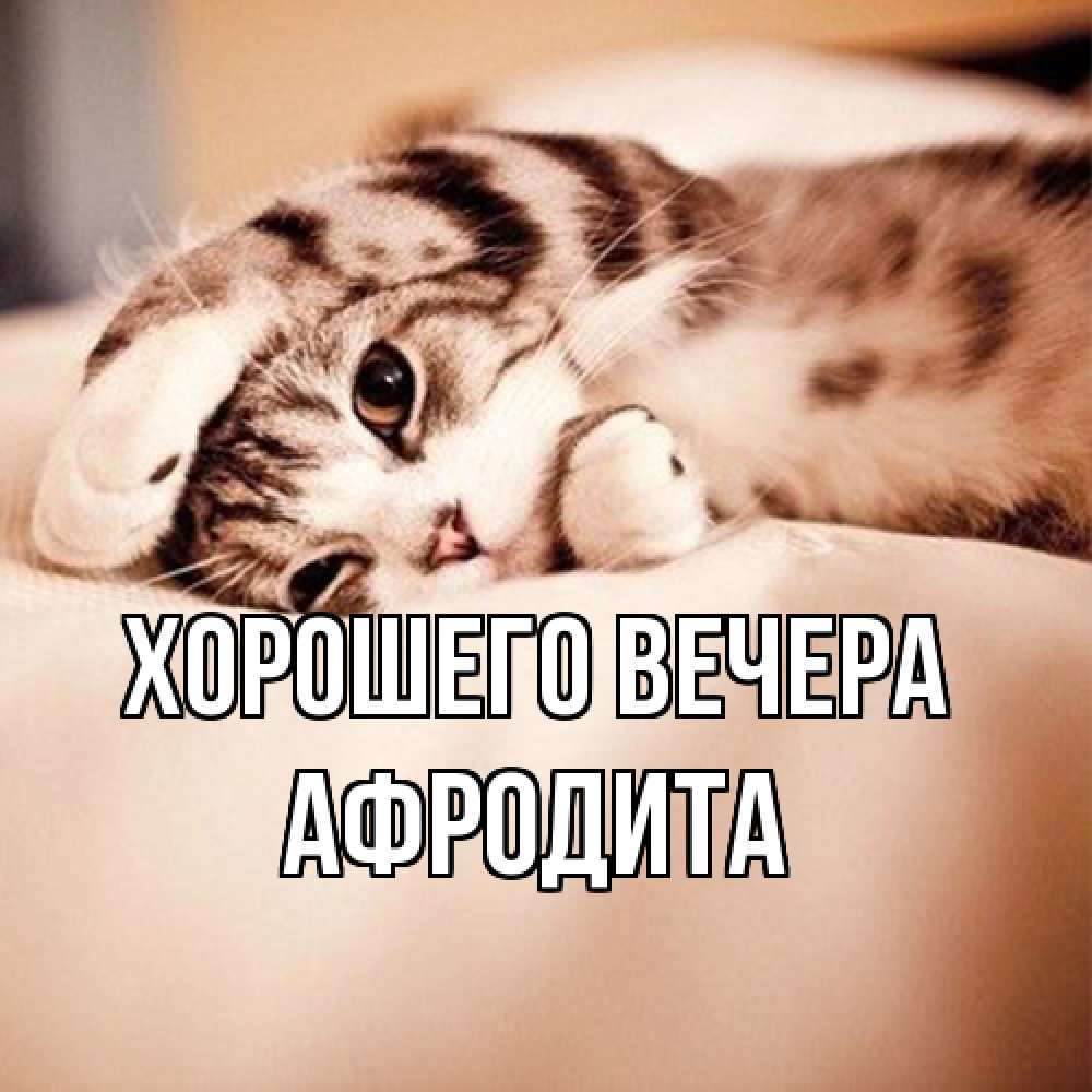 Открытка с именем, афродита, Хорошего вечера