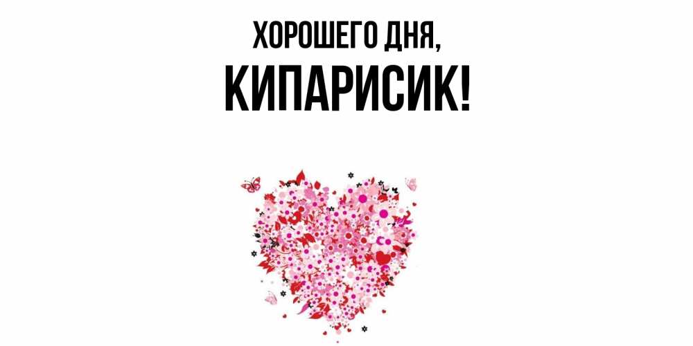 Открытка  для любимых и родных. кипарисик, Хорошего дня  