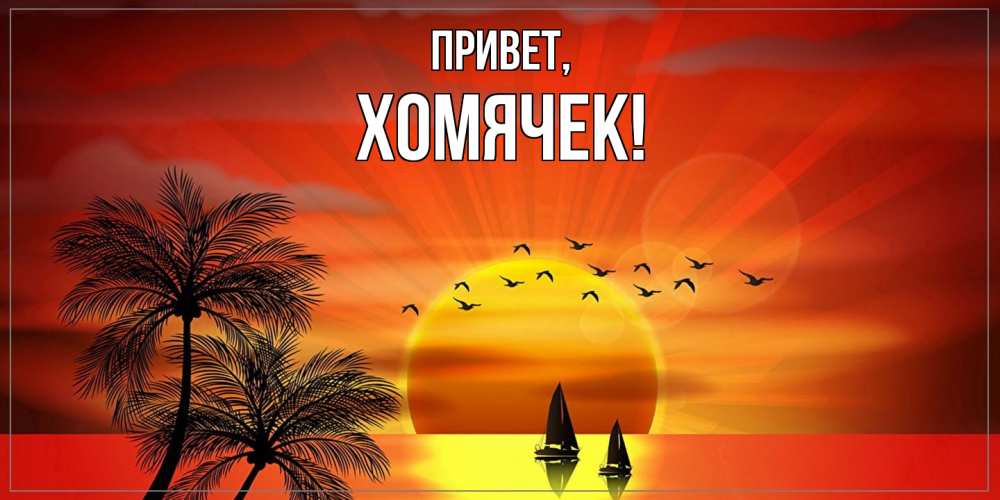 Открытка  для любимых и родных. хомячек, Привет  