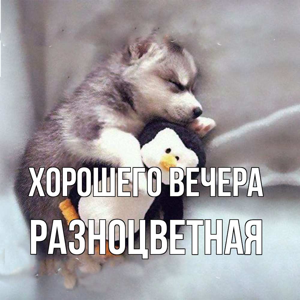 Открытка  для любимых и родных. разноцветная, Хорошего вечера  