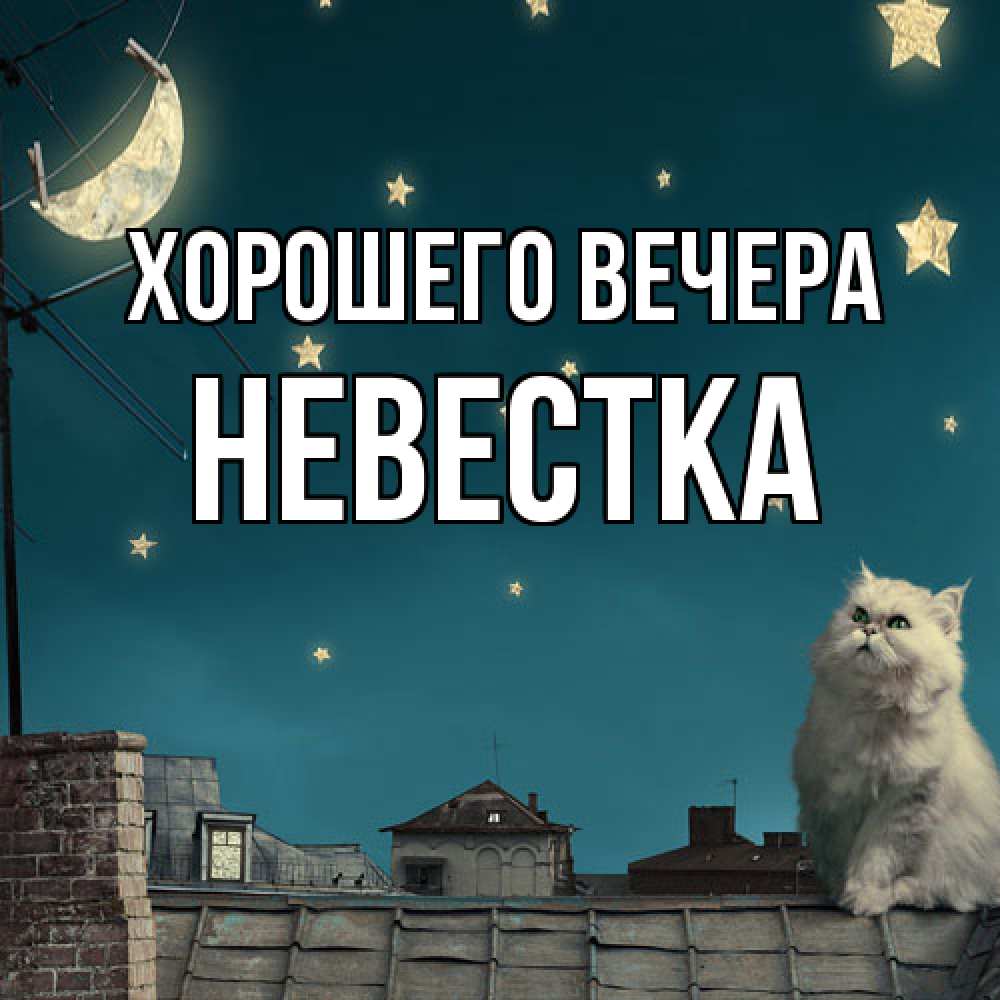 Картинка Хорошего вечера, Невестка