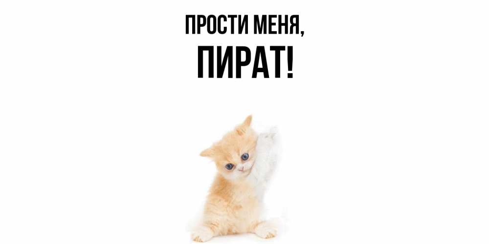 Открытка  для любимых и родных. пират, Прости меня  