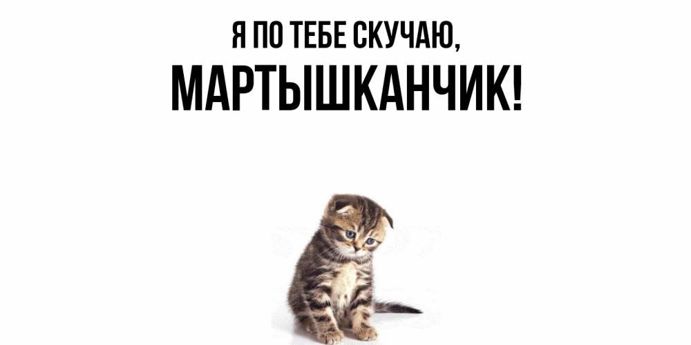 Открытка  для любимых и родных. мартышканчик, Я по тебе скучаю  