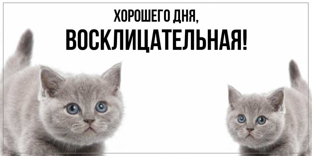 Открытка  для любимых и родных. восклицательная, Хорошего дня  