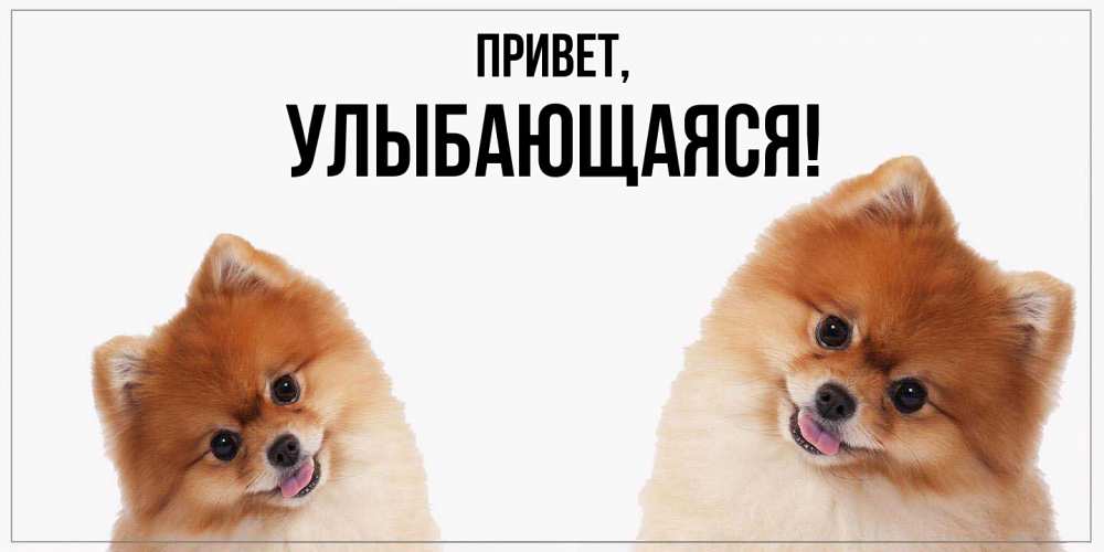 Открытка  для любимых и родных. улыбающаяся, Привет  