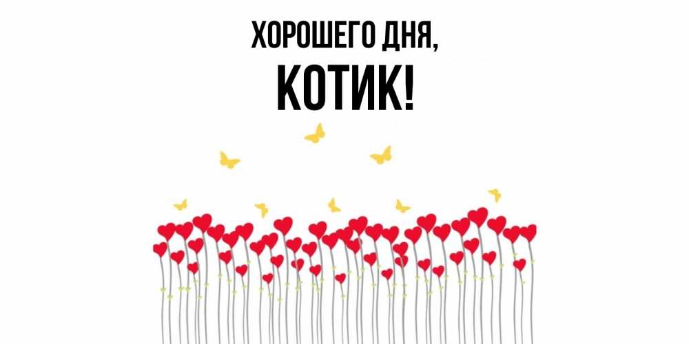 Открытка  для любимых и родных. котик, Хорошего дня  