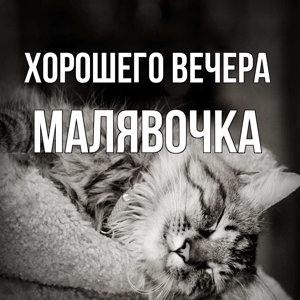 Открытка  для любимых и родных. малявочка, Хорошего вечера  