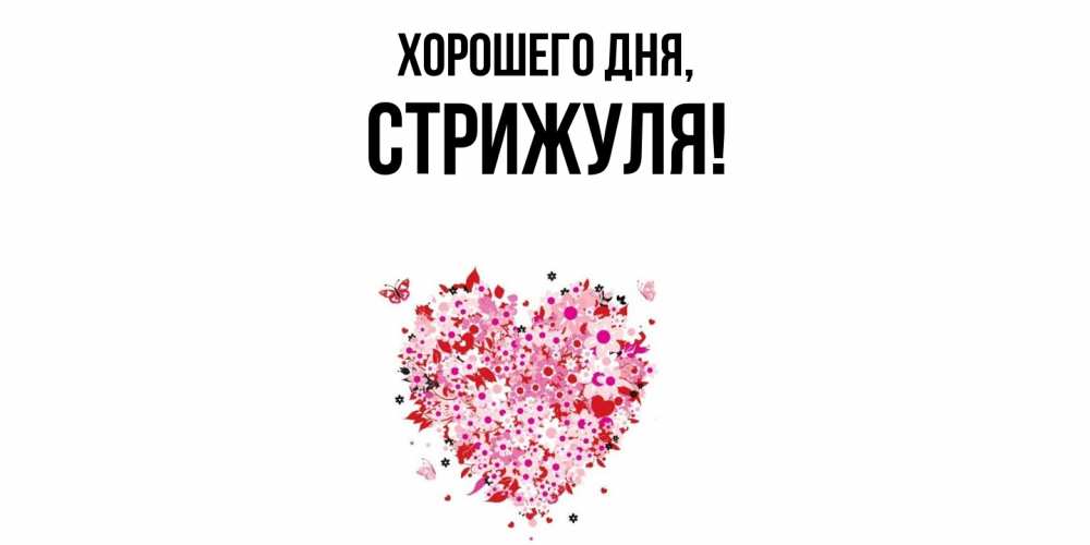 Открытка  для любимых и родных. стрижуля, Хорошего дня  